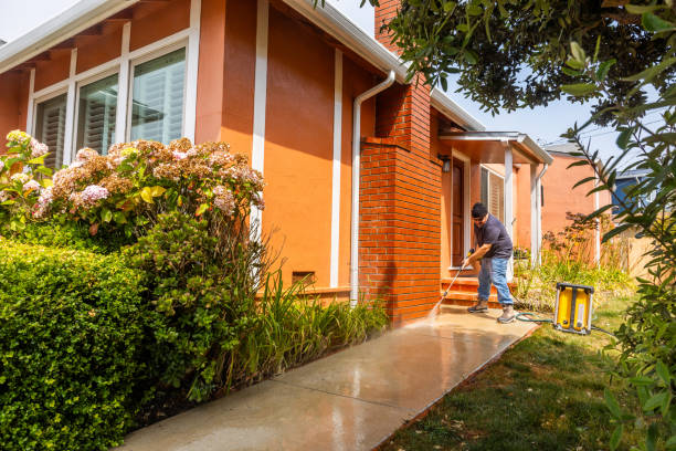 Best House Pressure Washing  in Spring Valley, MN