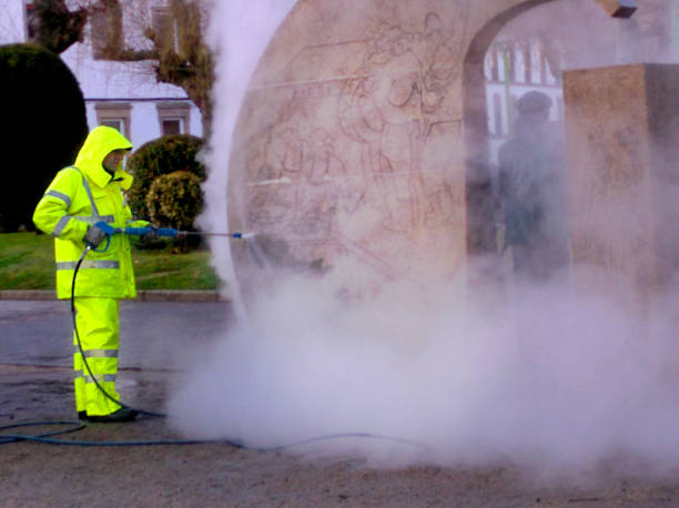 Best Pressure Washing Services Near Me  in Spring Valley, MN