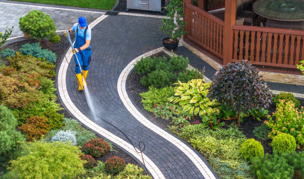 Best Concrete Pressure Washing  in Spring Valley, MN