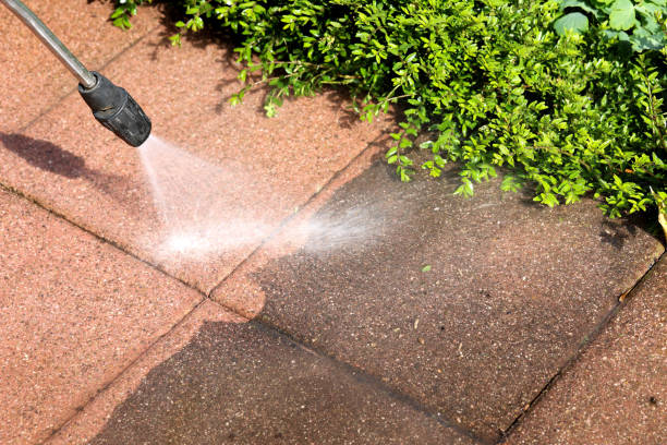 Best Fence Pressure Washing  in Spring Valley, MN